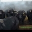 Охолодження туманом Tecnocooling на буйволячій фермі TASbio